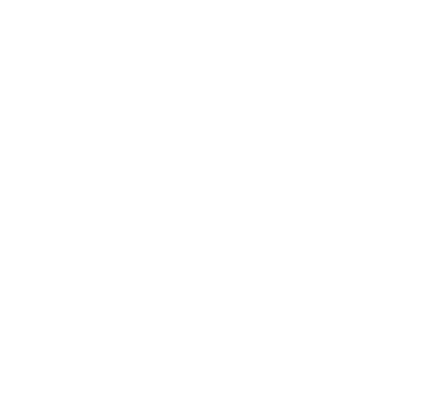 BPI France