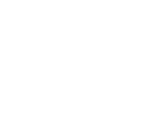 École Diagonale