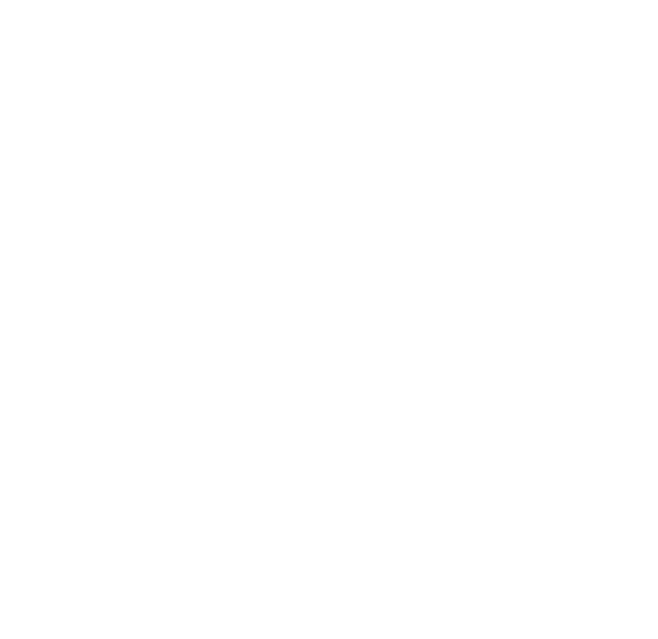 Le Parisien