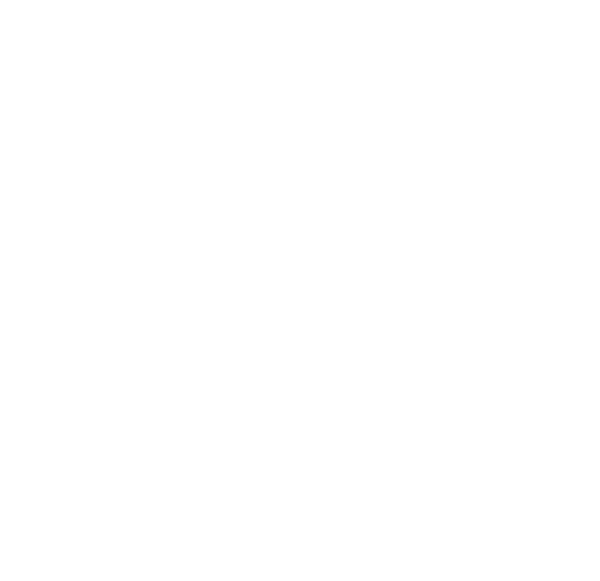 Nutribullet