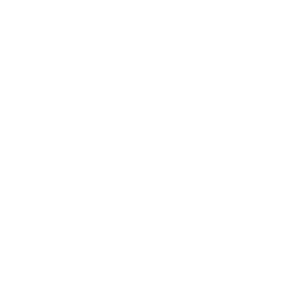 Suzuki Paris
